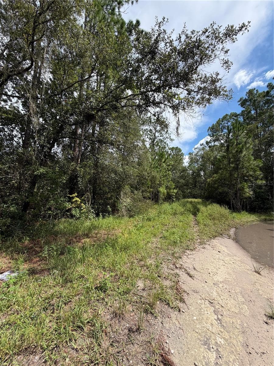 1746 Country Woods Dr