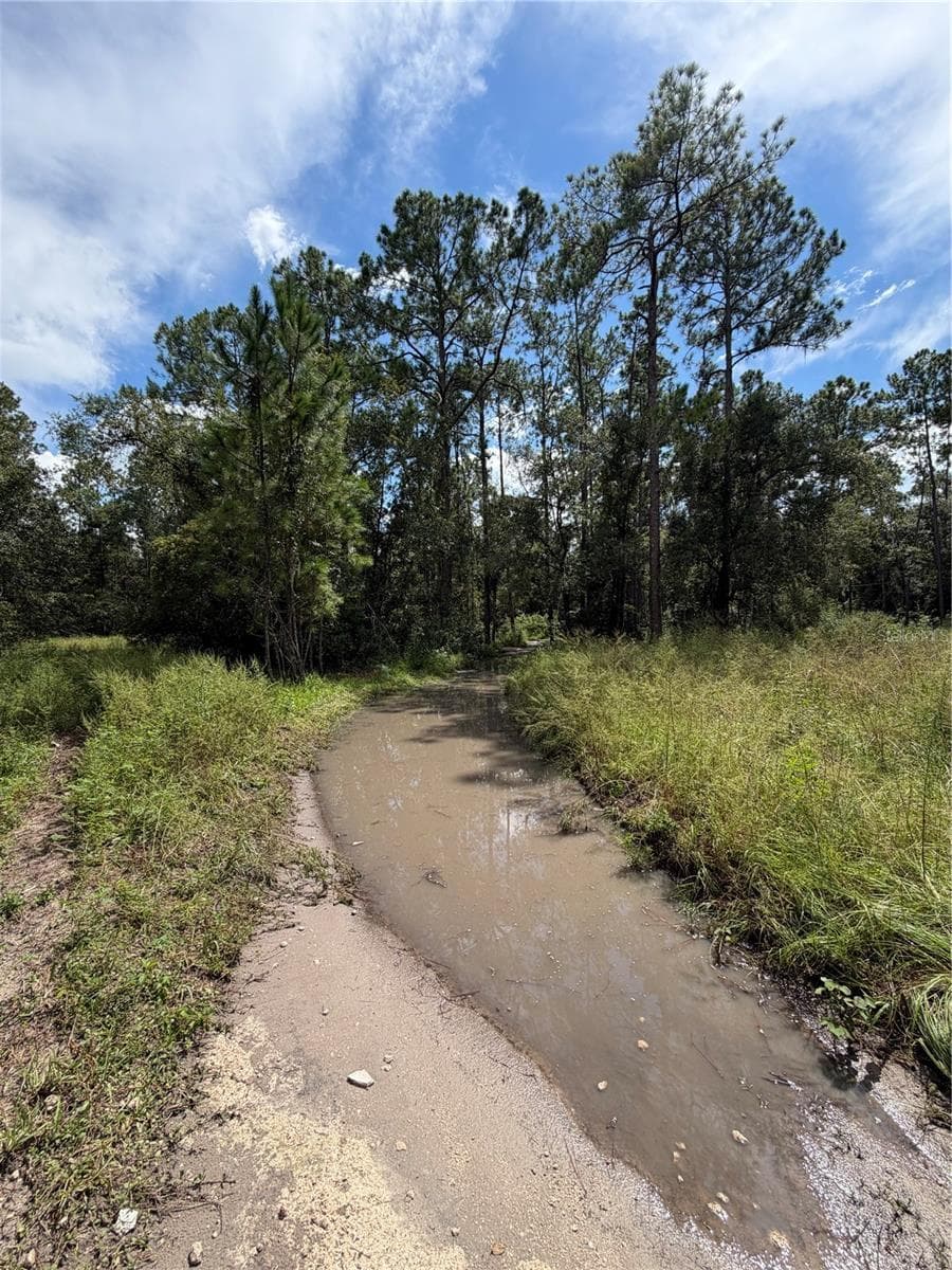 1746 Country Woods Dr photo 2
