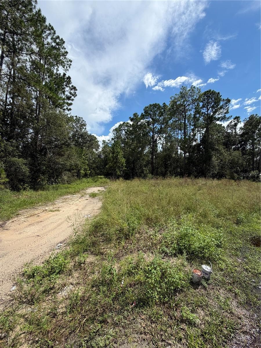 1746 Country Woods Dr photo 3