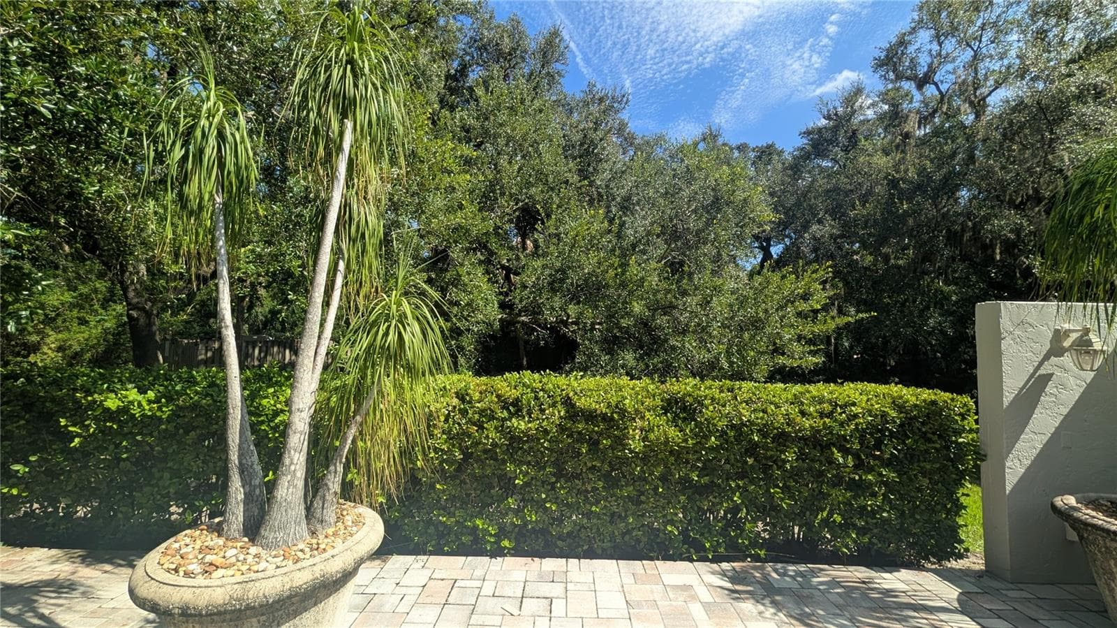 4615 Oak Forest Dr E #22 photo 5