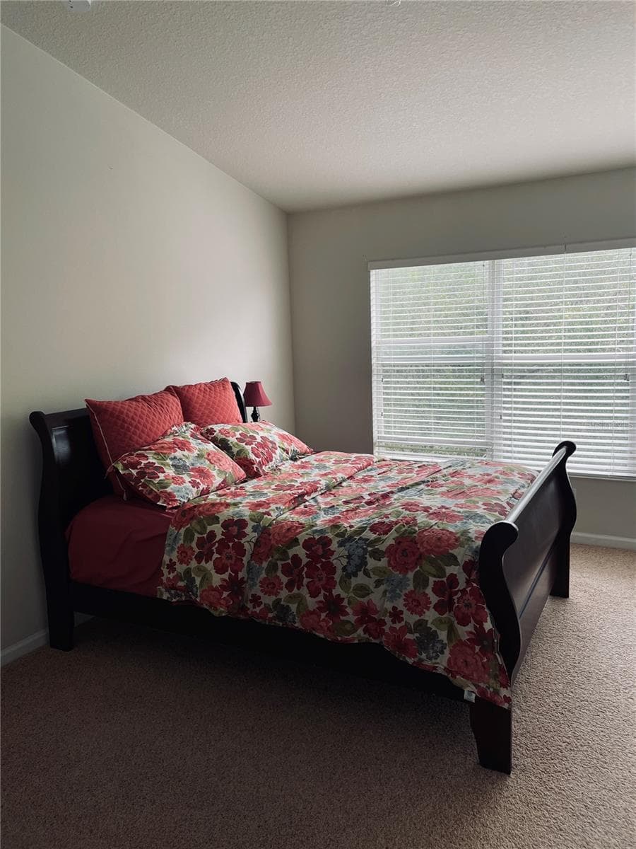 10453 Westpark Preserve Blvd photo 2