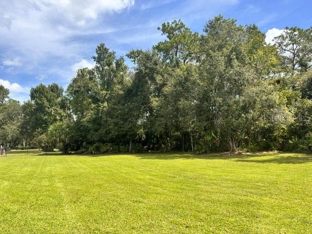 18815 Carr Dr photo 3