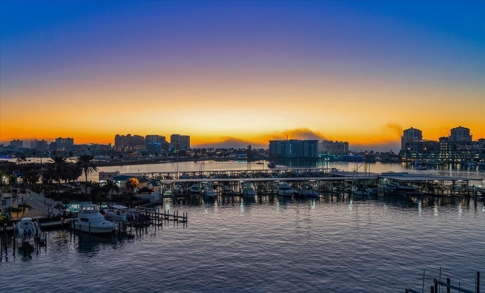 211 Dolphin Pt #501