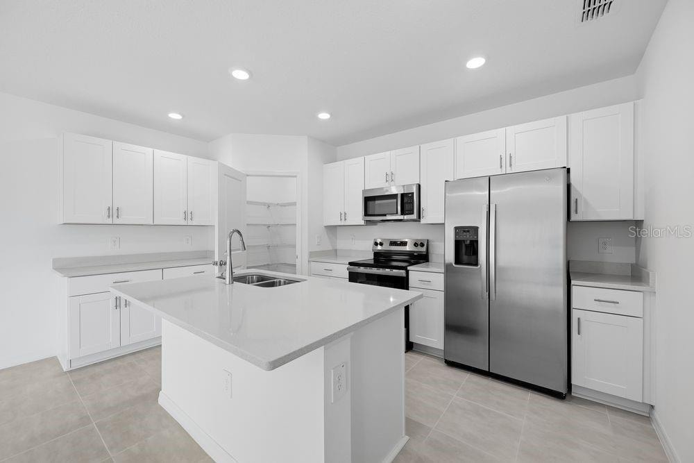 12423 Whisk CT