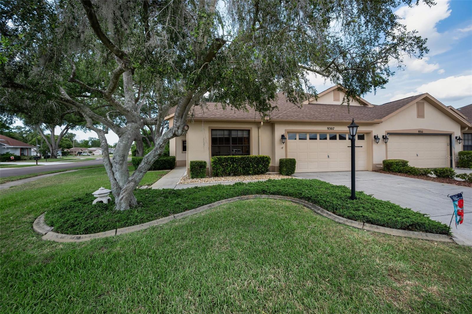 9307 Palm Haven CT photo 1