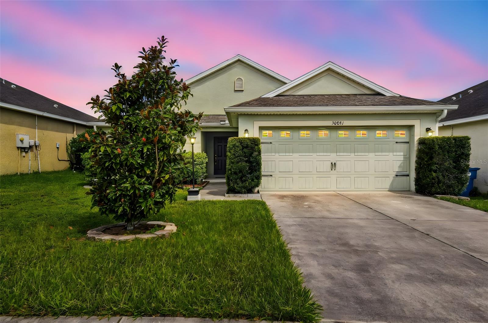 30821 Water Lily Dr photo 1