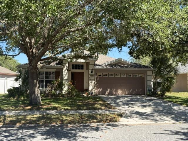 409 Sea Holly Dr