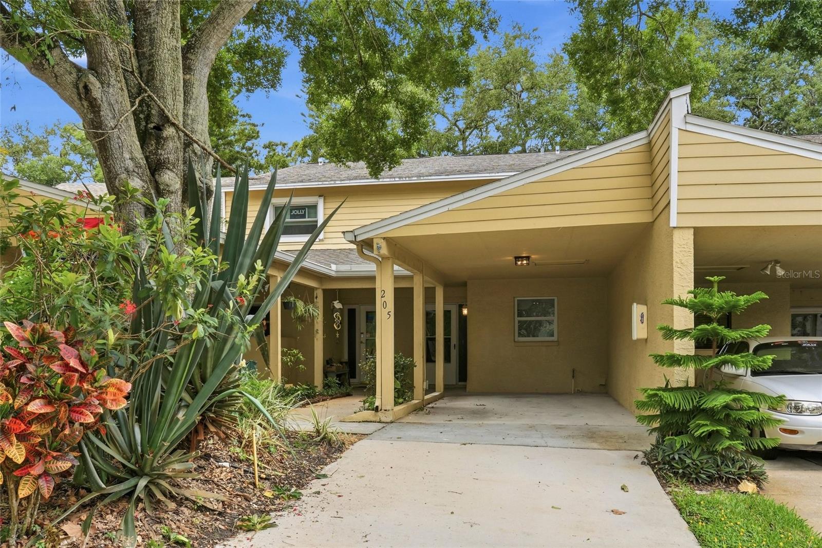 205 Somerset Ln photo 1