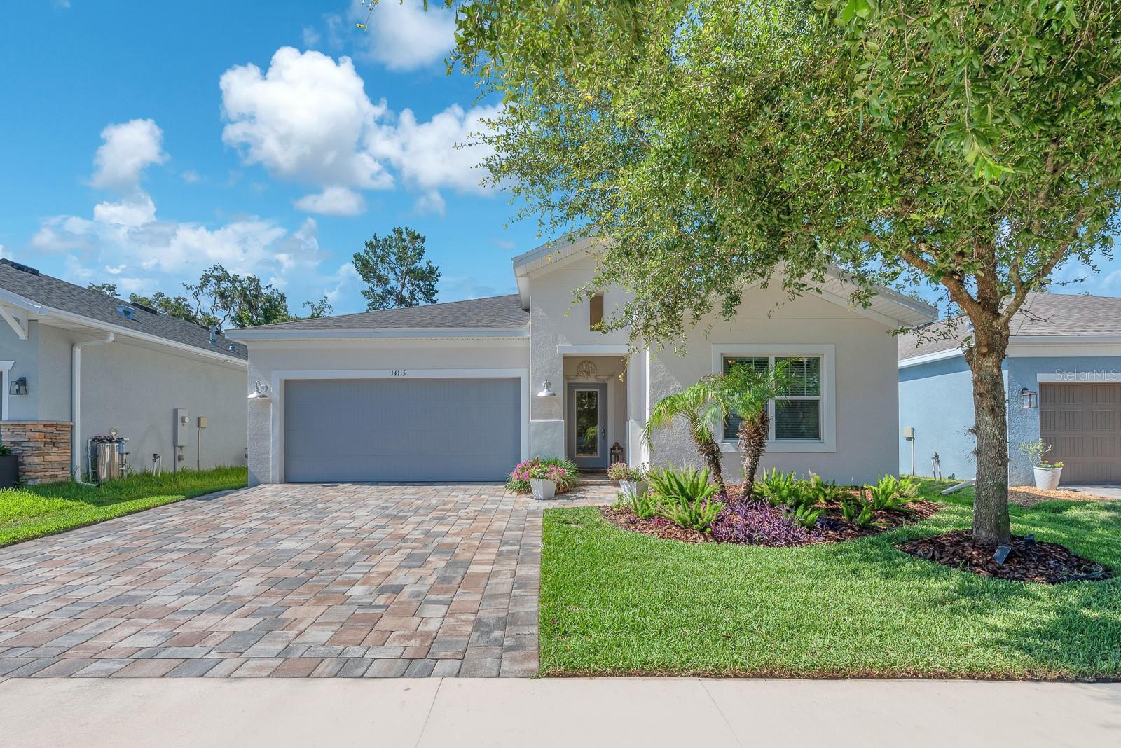 14115 Carissa Meadows CT photo 1
