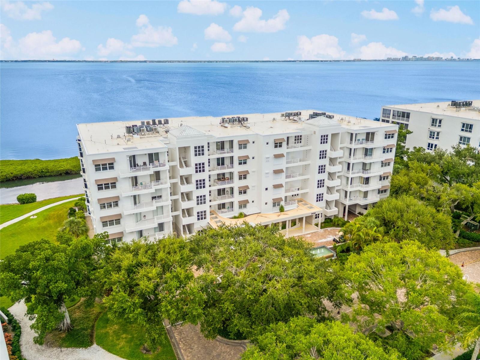 2450 Harbourside Dr #244 photo 1