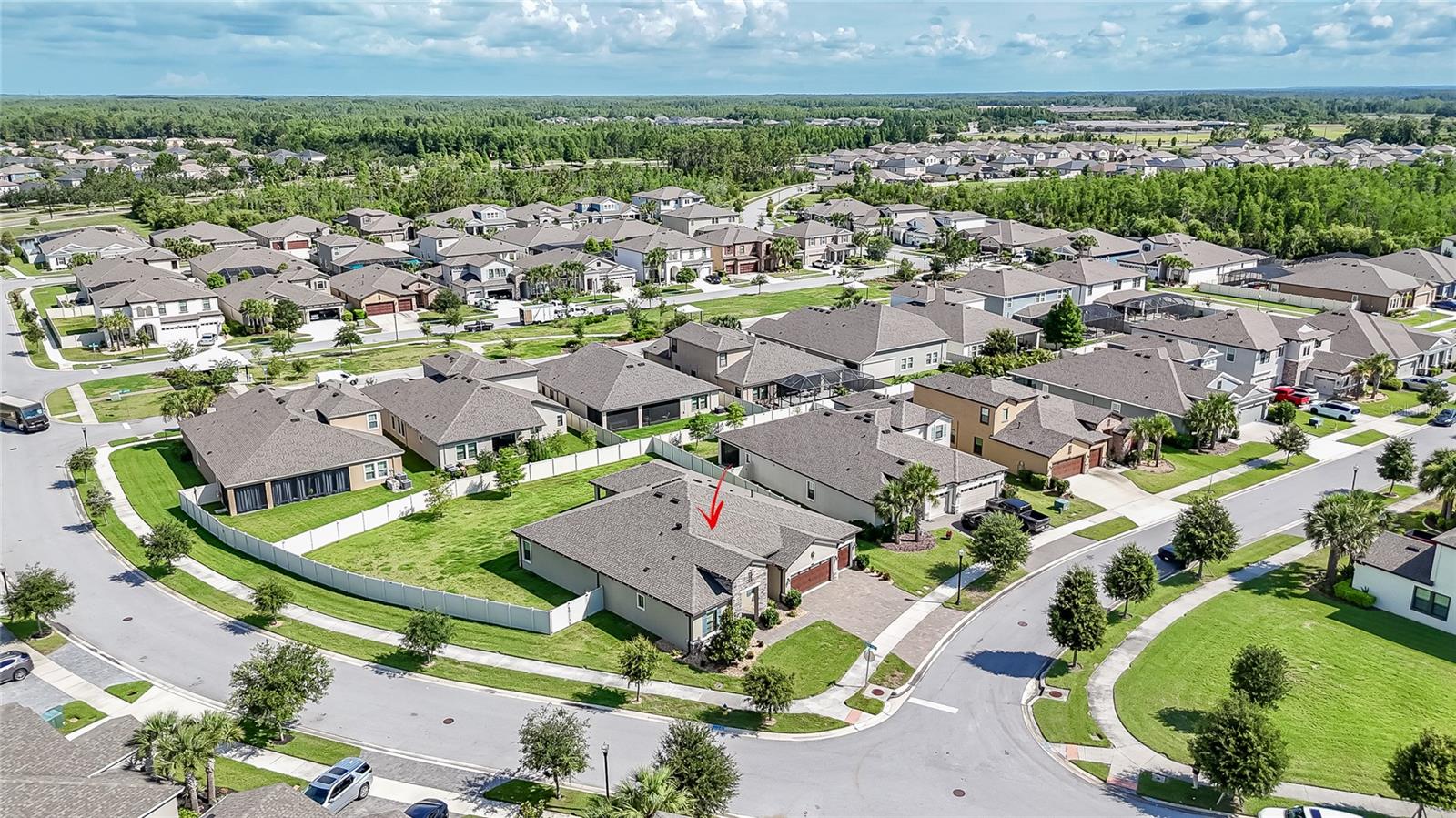 8687 Birchleaf Court