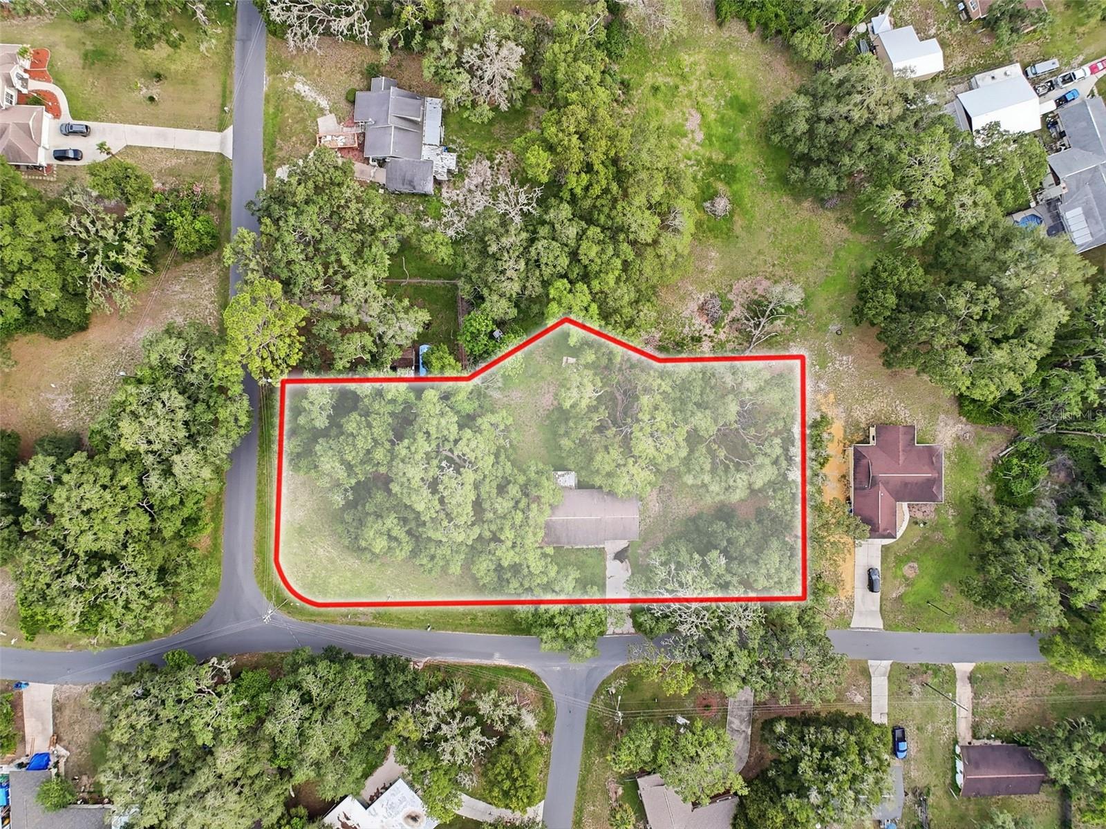 34696 Orchid Pkwy