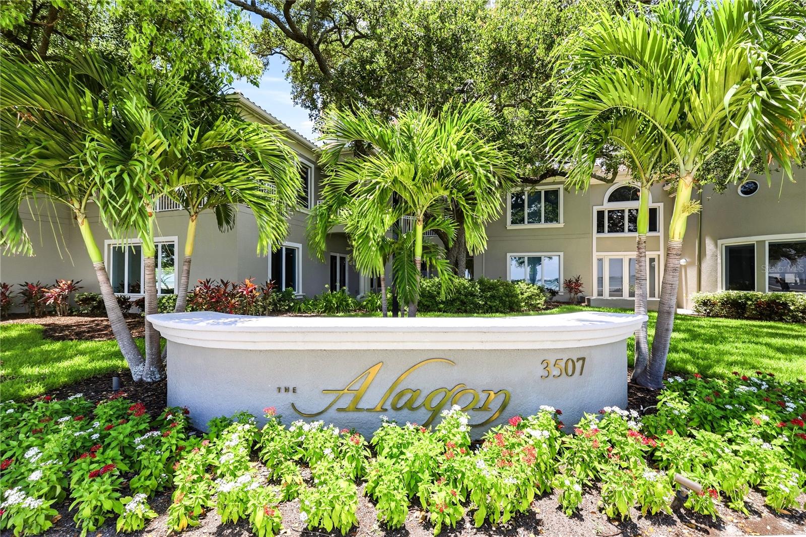 3507 Bayshore Blvd #102 photo 1