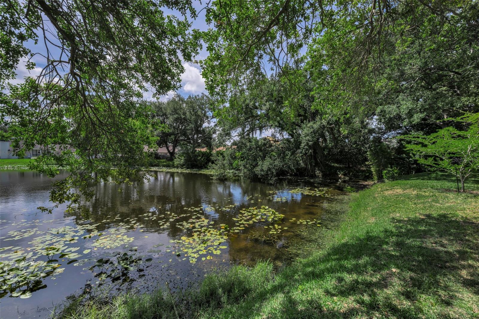 10497 Longwood Dr