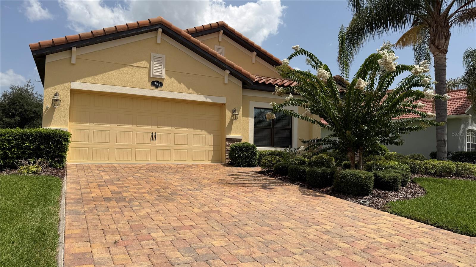 1947 Altavista Cir