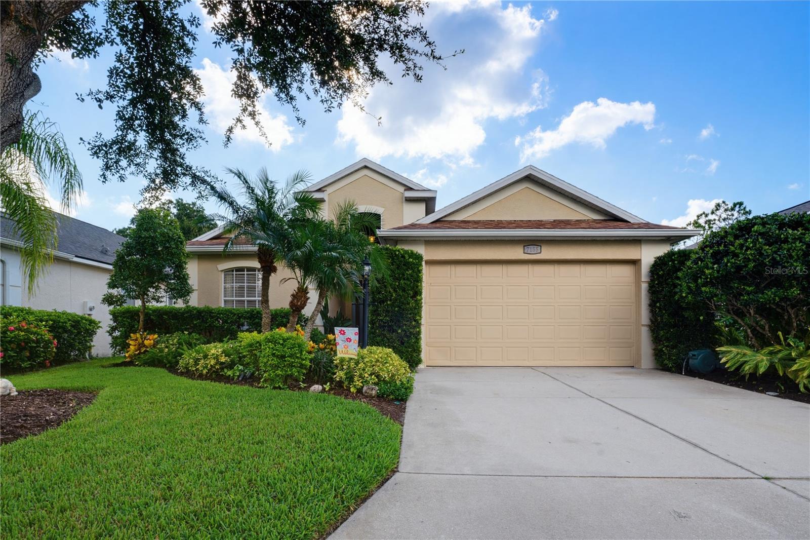 7155 Spikerush CT photo 1