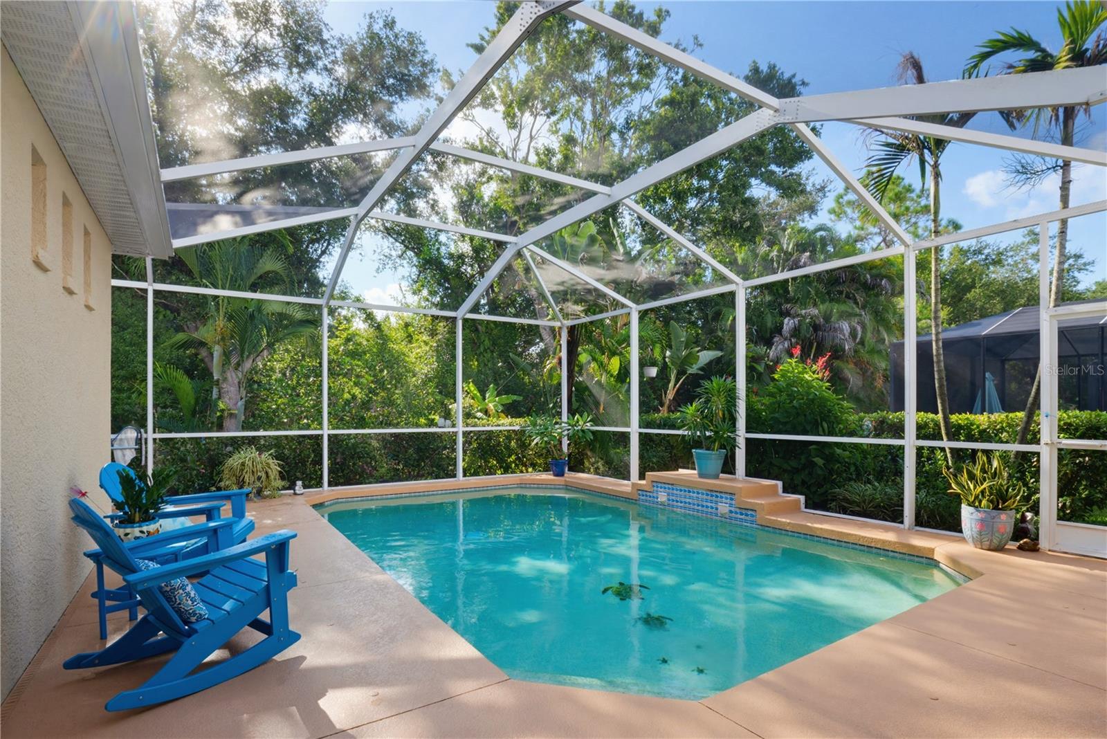 7155 Spikerush CT