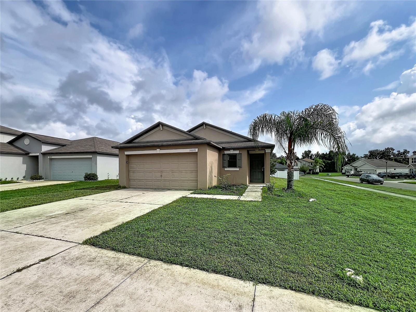 36095 Carriage Pine CT