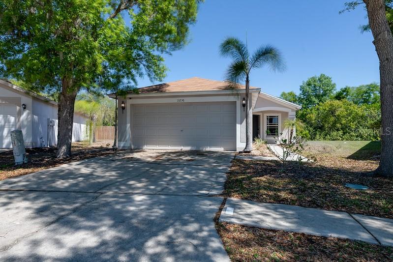 11236 Summer Star Dr