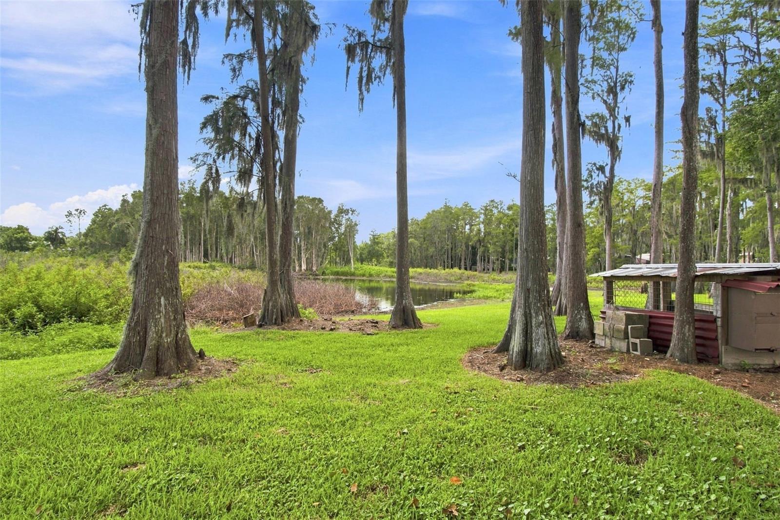 210 Lake Hobbs Rd