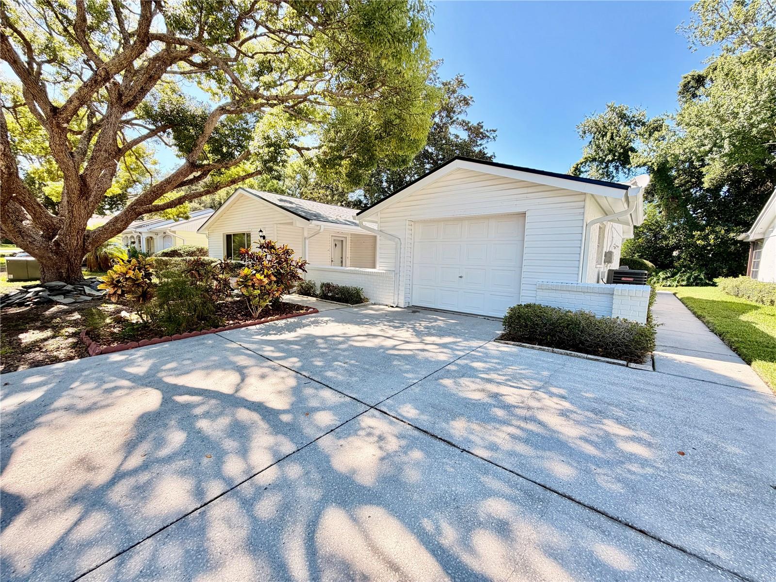 8207 MILL Creek Ln photo 1