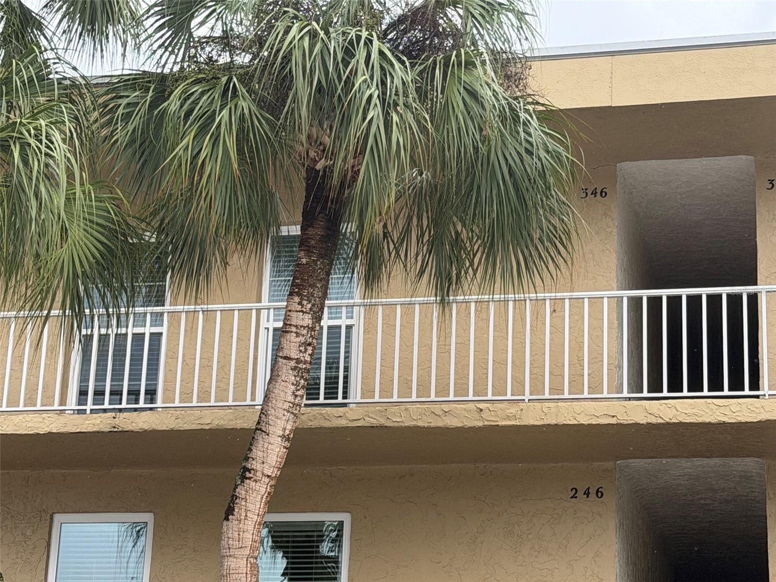 225 Country Club Dr #E346 photo 1