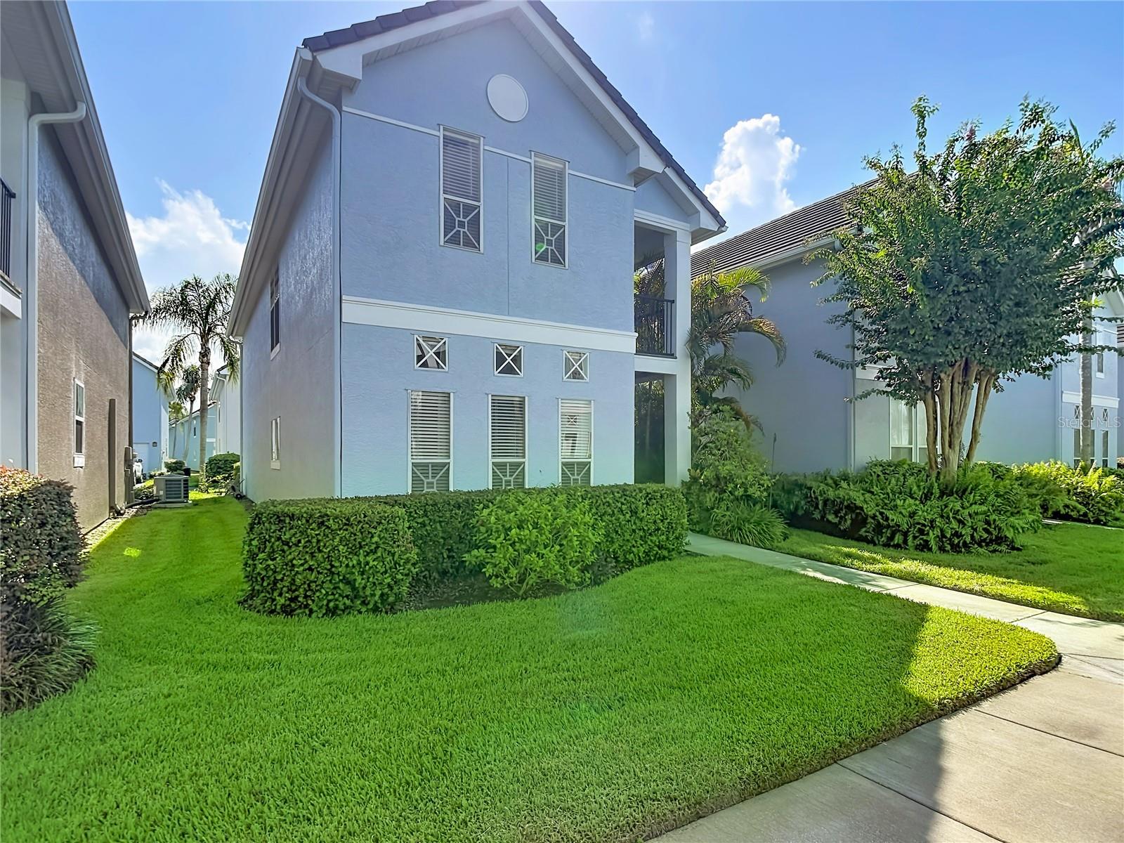 4008 Bangalow Palm CT