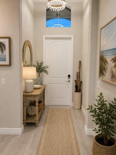 11825 Perennial Pl