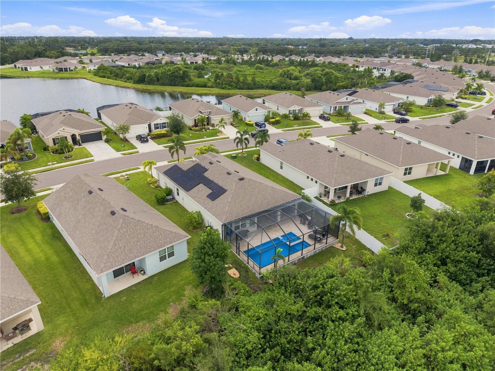 3916 Mossy Limb CT