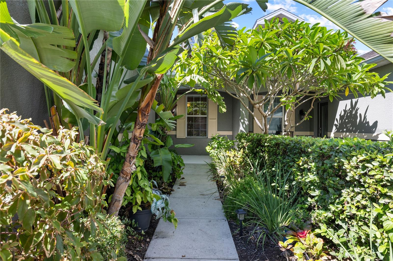 2235 Parrot Fish Dr