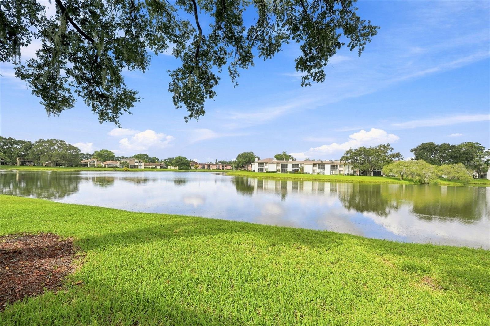221 Nina Way #61
