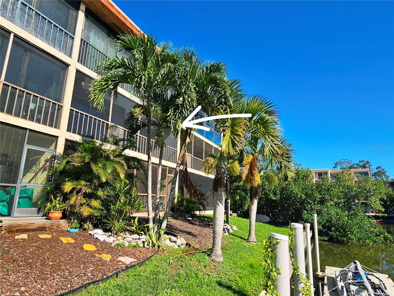 1650 Pine Tree Ln #204 photo 1