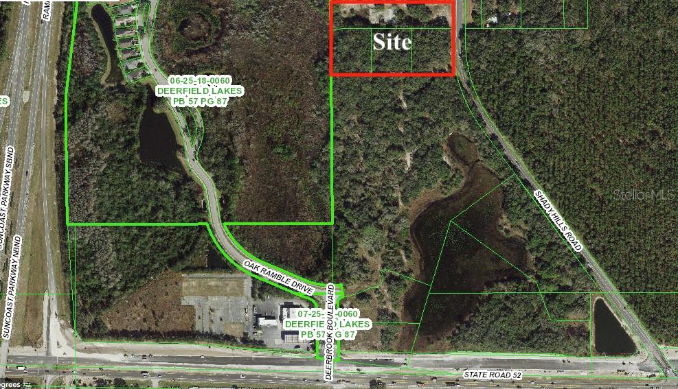12231 Shady Hills Rd