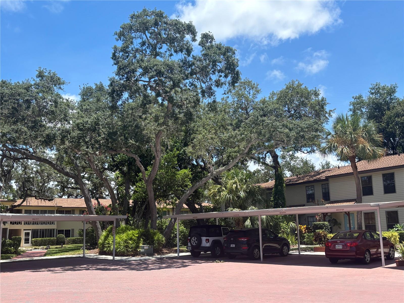 1515 Bayshore Blvd #26
