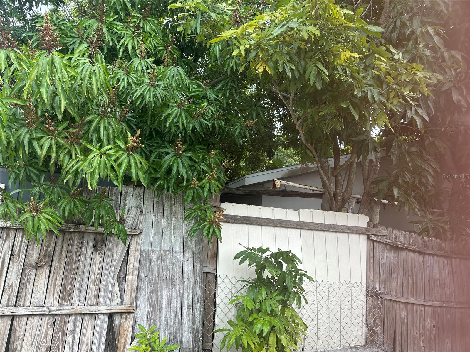 12588 128th Ave