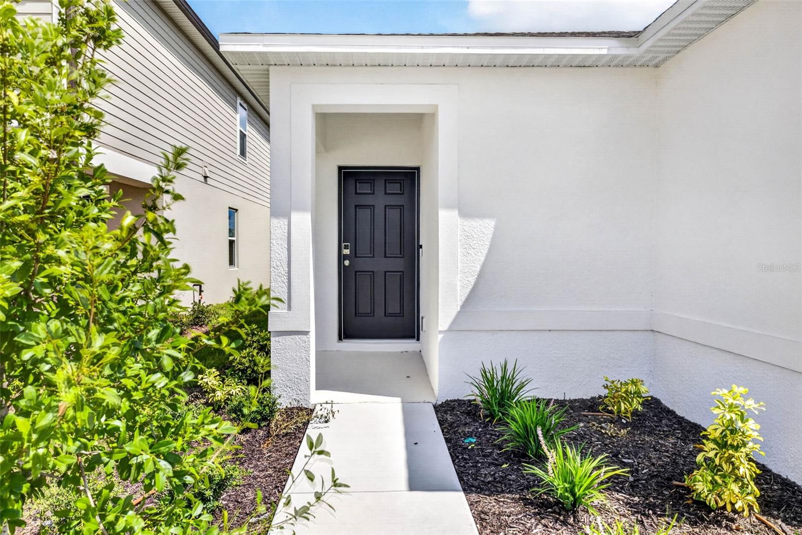 12449 Whisk CT